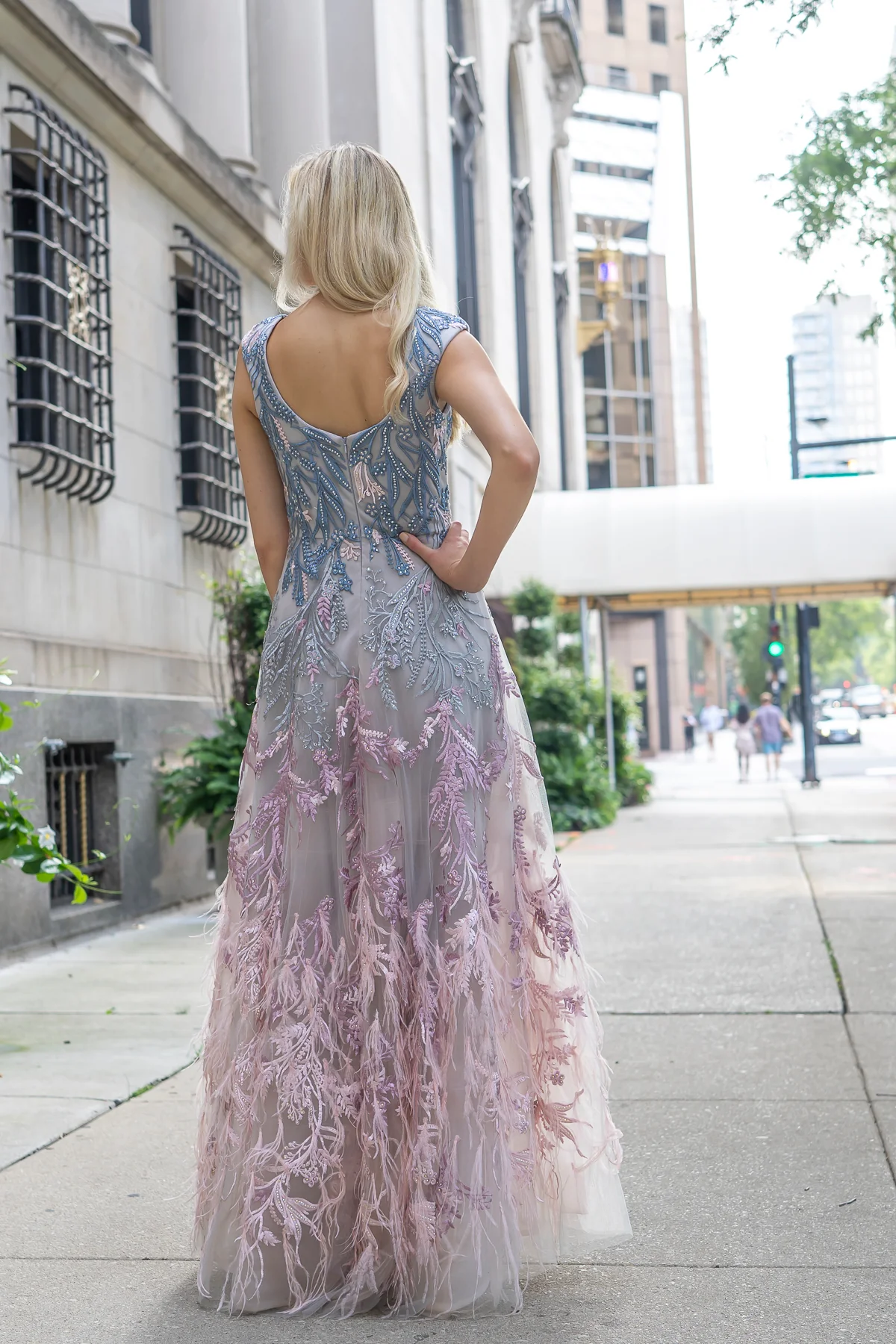 Cap Sleeves Feather Detail Ballgown - Image 4